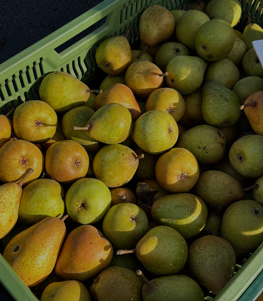 how to make content creation feel easier